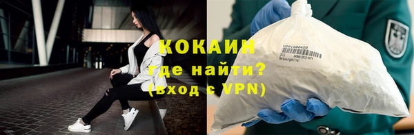 прущие грибы Володарск