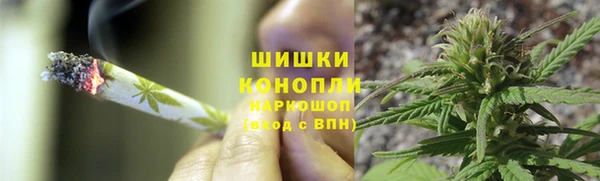 прущие грибы Володарск