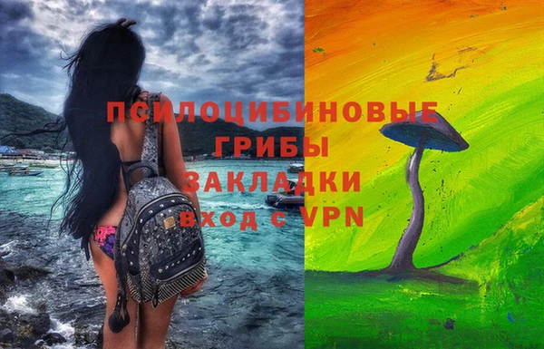 дурь Волоколамск