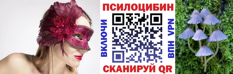продажа наркотиков  Миасс  Галлюциногенные грибы Cubensis 